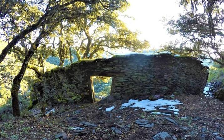 Raposera Apiaries, National Heritage