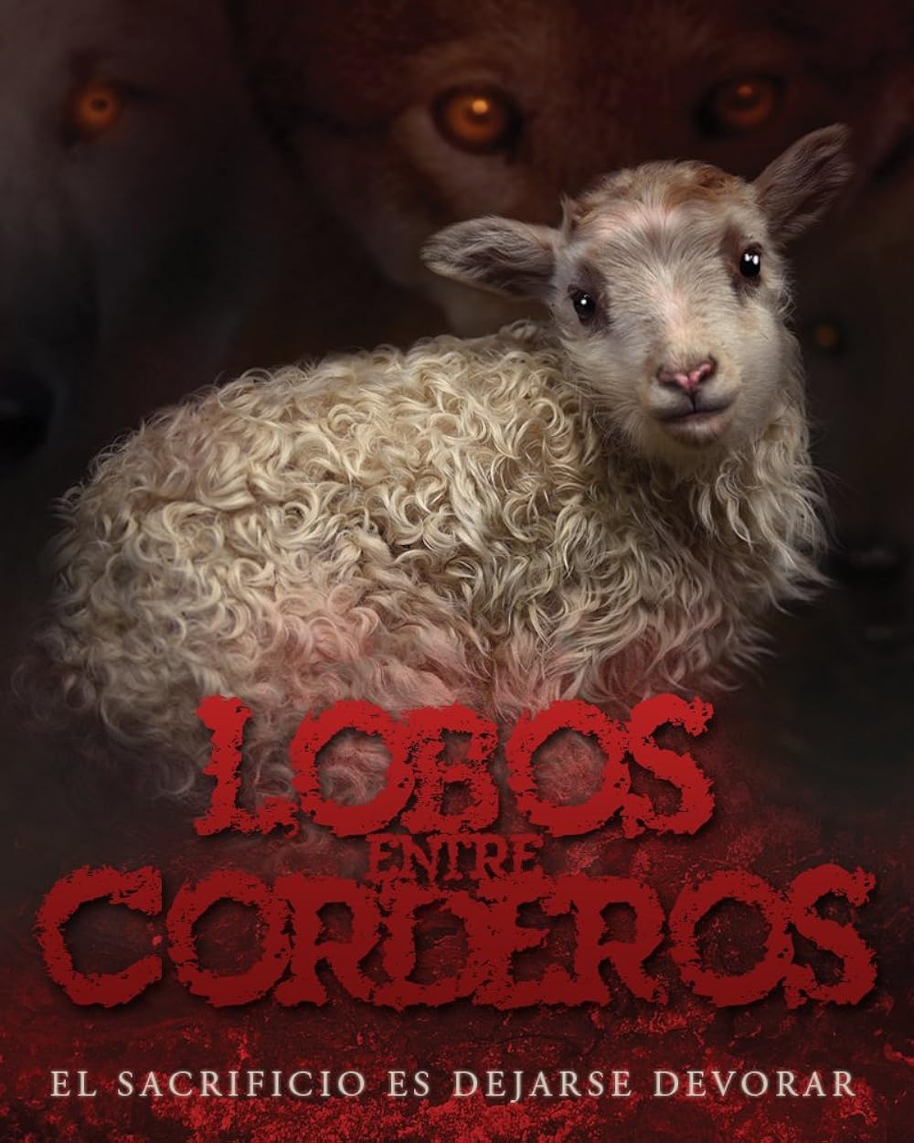 Lambs Among Wolves (TV Series) - IMDb