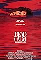 Dead Calm's primary photo