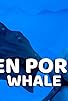 Primary photo for Whale Primary photo for Whale