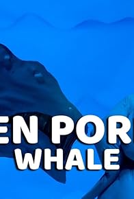 Primary photo for Whale