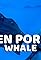 Whale's primary photo
