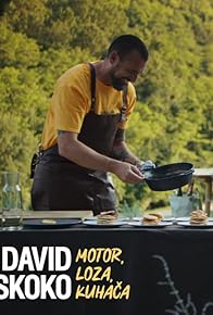 Primary photo for David Skoko: Motor, loza, kuhaca