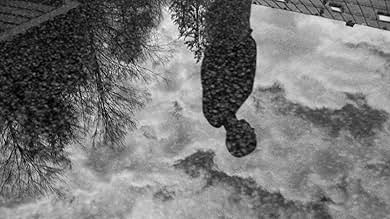 पोस्टर देखें