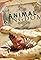 Animal Kingdom's primary photo