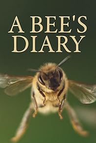 Primary photo for A Bee's Diary
