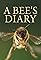 A Bee's Diary's primary photo