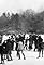 Skating in Central Park's primary photo