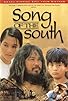 Primary photo for Song of the South Primary photo for Song of the South