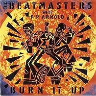 Primary photo for The Beatmasters feat. P.P. Arnold: Burn It Up