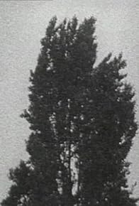 Primary photo for Perfekt 1-3