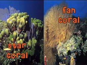 पोस्टर देखें