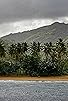Primary photo for Island of Gold Primary photo for Island of Gold