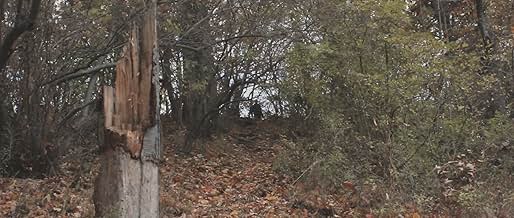 पोस्टर देखें