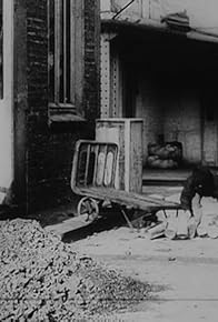 Primary photo for The Magnetized Man