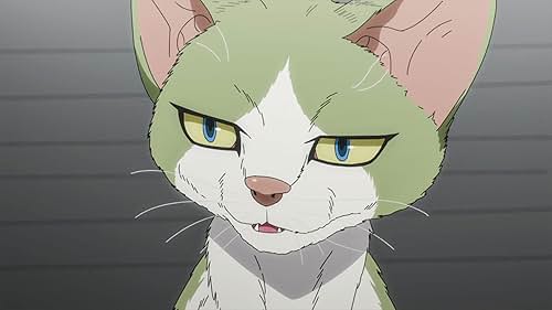 Nyaight of the Living Cat (TV Series 2025– ) - News - IMDb