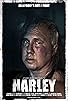 Primary photo for Harley Primary photo for Harley