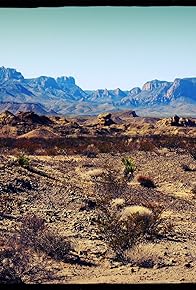 Primary photo for Wolves Inside