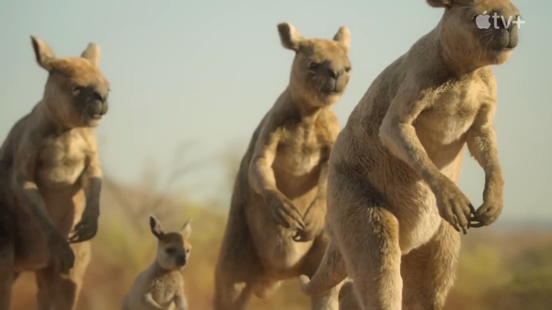 Official Trailer - Season 3