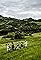 In Transkei's primary photo