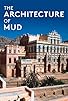 Primary photo for The Architecture of Mud
