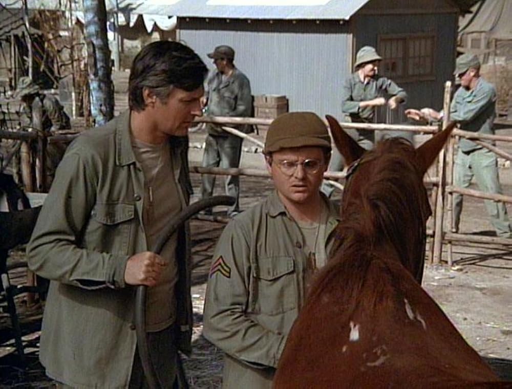 M*A*S*H" Con Ngựa Của Đại Tá (Tập phim truyền hình năm 1976) - IMDb