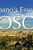 Primary photo for Pappano's Essential Tosca Primary photo for Pappano's Essential Tosca