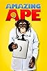 Primary photo for Amazing Ape Primary photo for Amazing Ape