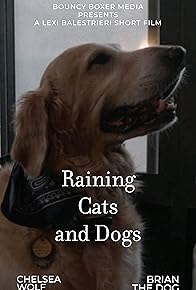 Primary photo for Raining Cats and Dogs