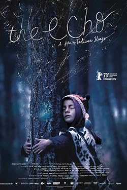 Poster of El eco