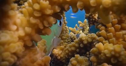 पोस्टर देखें