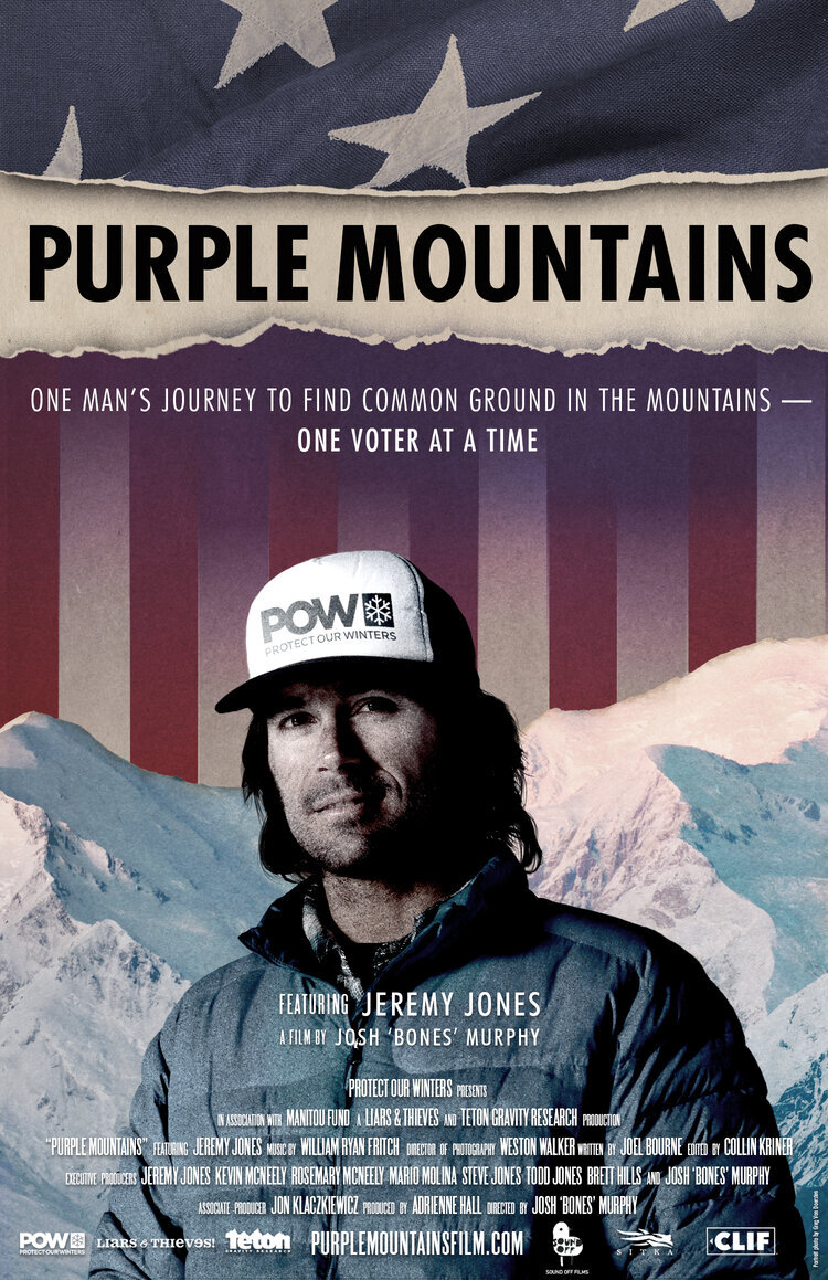 Poster of Purple Mountains