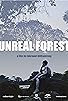 Primary photo for Unreal Forest