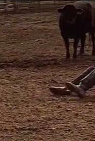 Primary photo for The Woman Who Thinks Like a Cow Primary photo for The Woman Who Thinks Like a Cow