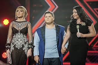 Taytlarda it uslubidagi rasmlar