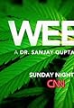 Weed: Special Report by Sanjay Gupta's primary photo