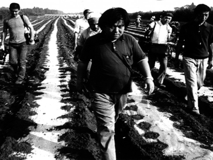 Devotion: A Film About Ogawa Productions