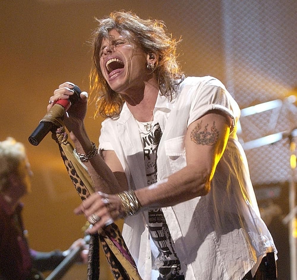 ミュージシャン 00s AEROSMITH O,YEAR! TOUR 2002 XL ミュージシャン 00s AEROSMITH O,YEAR! TOUR 2002 XL 00s