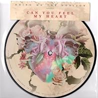 Primary photo for Bring Me the Horizon: Can You Feel My Heart Primary photo for Bring Me the Horizon: Can You Feel My Heart