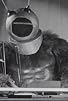 Primary photo for Robot Monster