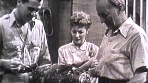 Tales of Tomorrow (TV Series 1951–1953) - Episode list - IMDb