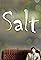Salt's primary photo