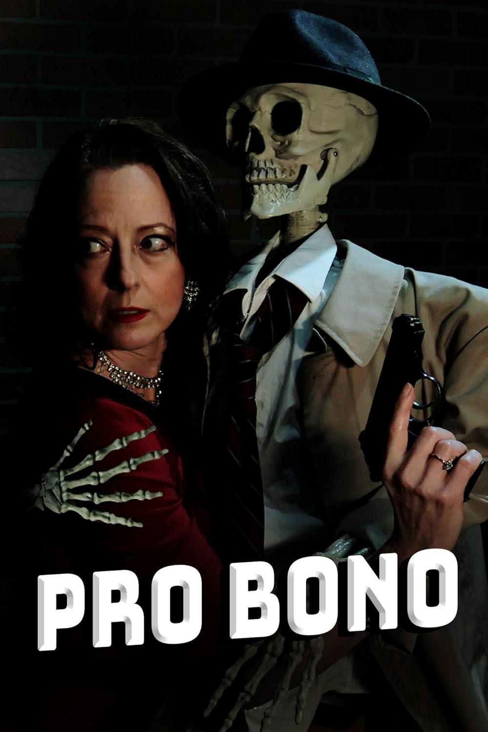 Pro Bono
