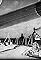 Road to Victory: Milestones in the Struggle for Liberty's primary photo