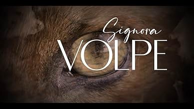 पोस्टर देखें