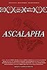 Primary photo for Ascalapha Primary photo for Ascalapha