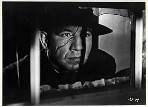 पोस्टर देखें