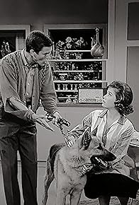 Primary photo for The Unwelcome Houseguest