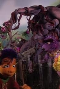 Primary photo for Fence Fiasco