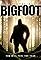 Discovering Bigfoot's primary photo